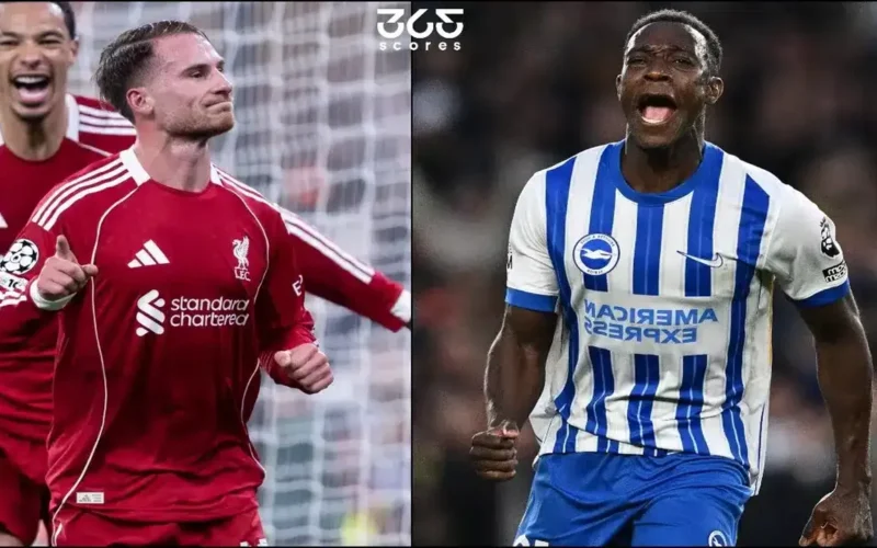 موعد مواجهة ليفربول وبرايتون المرتقبة ضمن منافسات الجولة 31 بالدوري الإنجليزي الممتاز